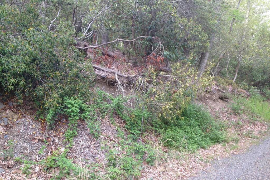 Fox Trot Cabin Meadows of Dan Exterior photo