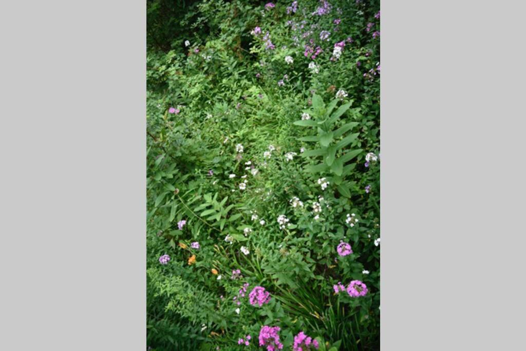 Fox Trot Cabin Meadows of Dan Exterior photo